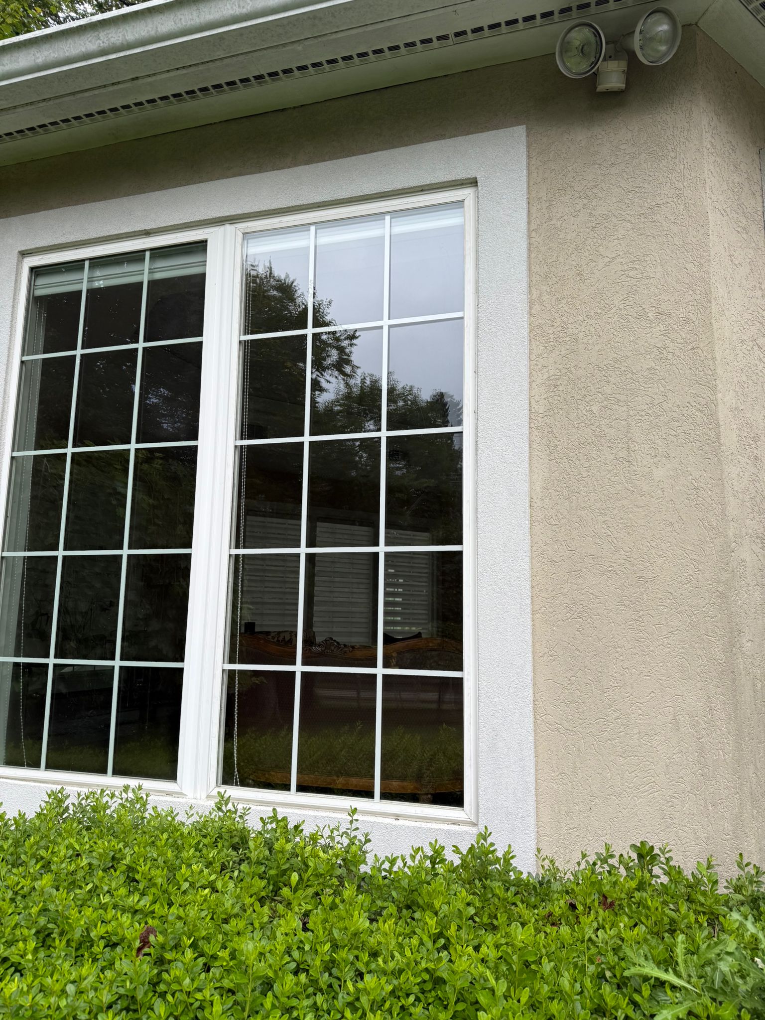 Glass Window & Patio Doors